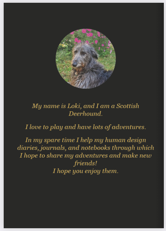 Loki the Deerhound, Notebook, Unlined, Loki at the Beach, Paperback