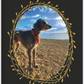 Loki the Deerhound, Notebook, Lined, Loki at the Beach, Paperback