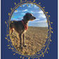 Loki the Deerhound, Notebook, Lined, Loki at the Beach, Paperback