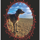 Loki the Deerhound, Notebook, Lined, Loki at the Beach, Paperback