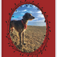 Loki the Deerhound, Notebook, Lined, Loki at the Beach, Paperback