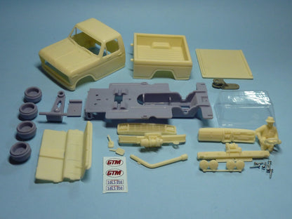 Ford F100 Pick Up Truck, 1981 (TRU-111)